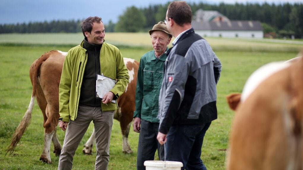 Berater und Biobauern auf der Weide im Gespräch über die Wirtschaftsweise.