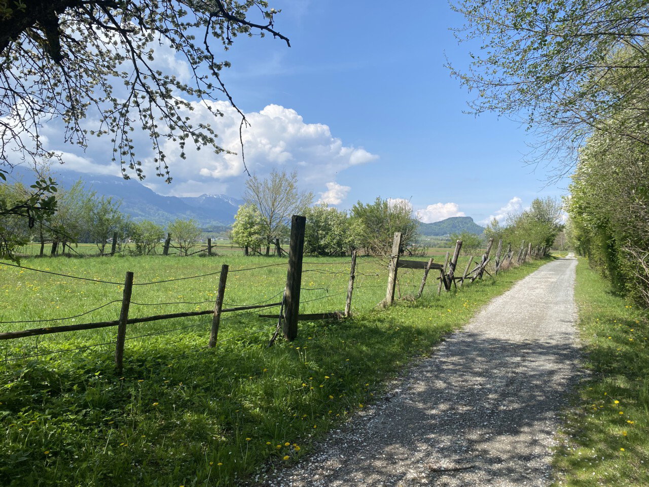 Let's go Bio! Wander- & Radtouren in Kärnten - BIO AUSTRIA