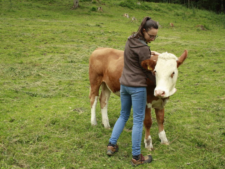 © Bio Ernte Steiermark