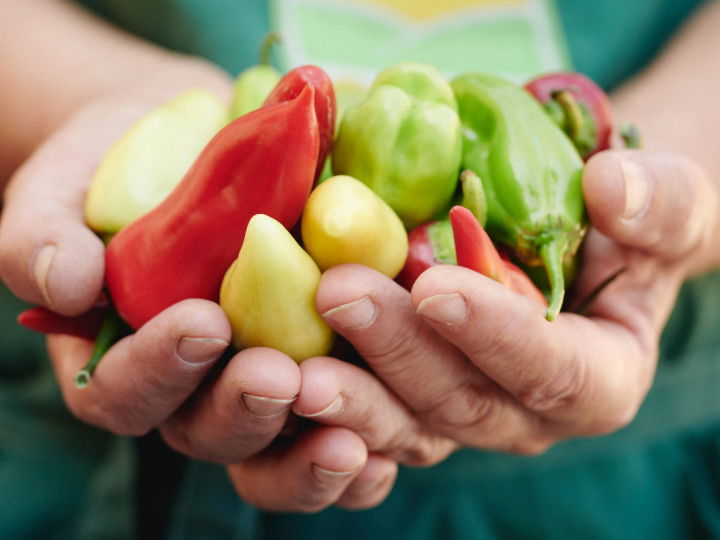 Hand mit Paprika am Bio-Bauernmarkt Center West