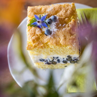 Mascherbauer Heidelbeerkuchen