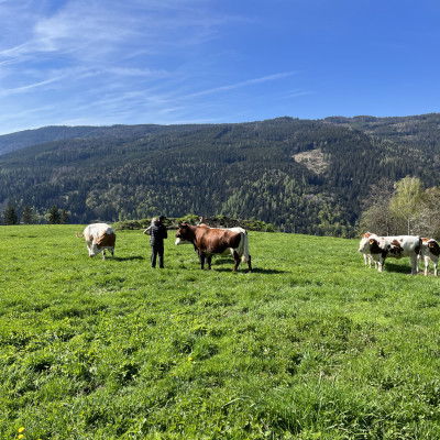 Alm Biohof Maritsch