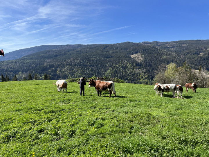 Alm Biohof Maritsch