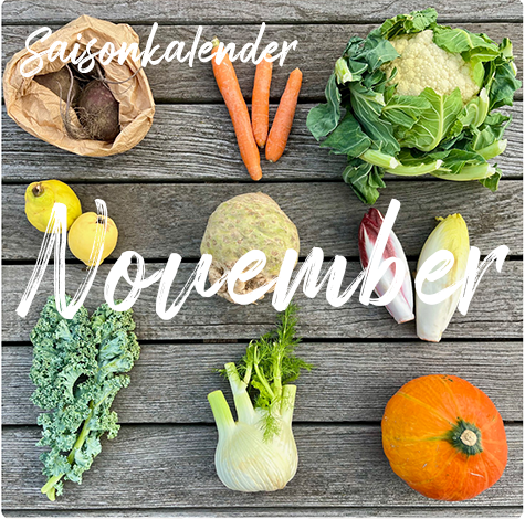 Saisonkalender November