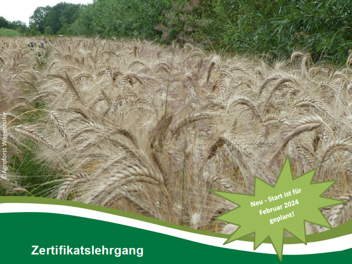 © Agroforst Wagenhofer