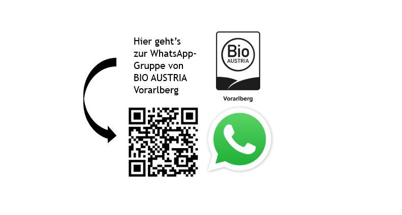 QR-Code für WhatsApp-Gruppe BA Vorarlberg