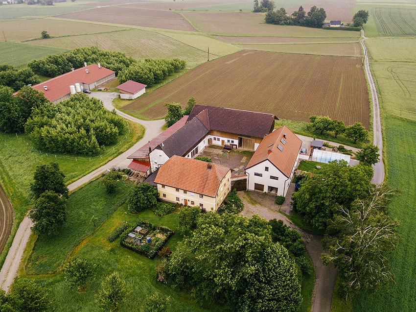 Biohof Staller im Feld