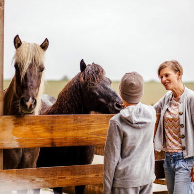 Biohof Staller im Feld