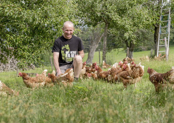 Mann zwischen Hühnern auf Wiese