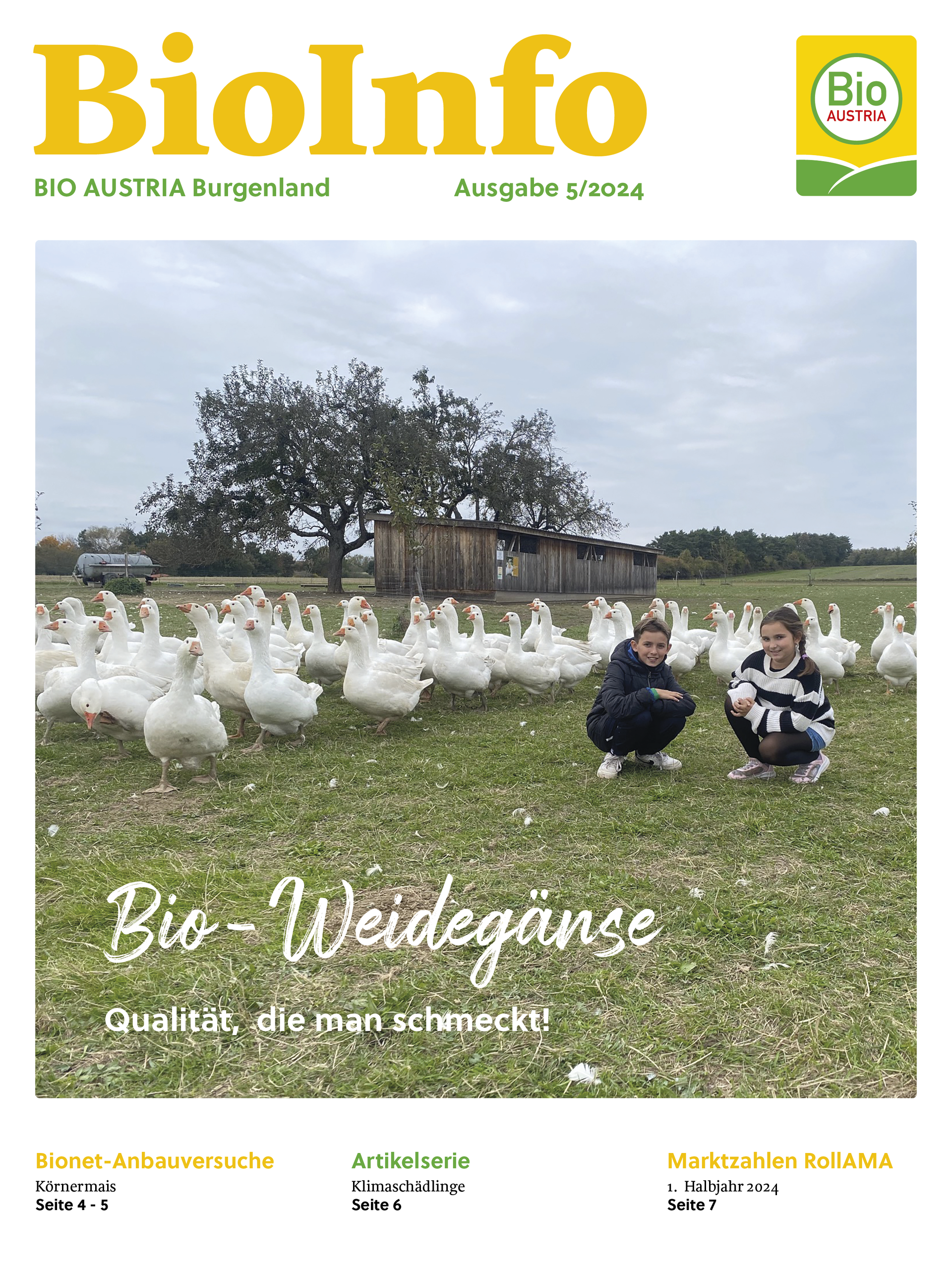 BioInfo Burgenland 5/2024Titelblatt Weidegänse