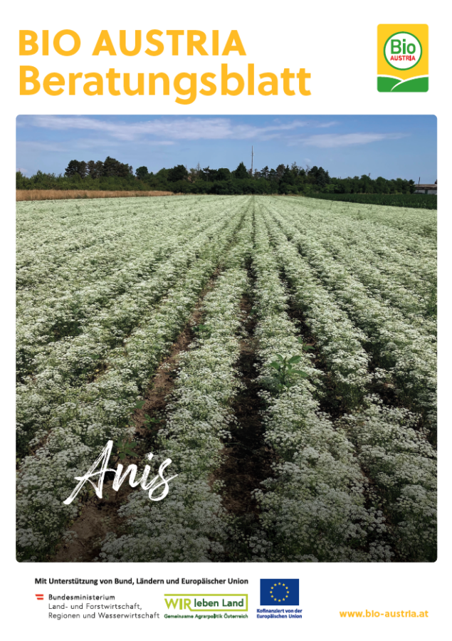 Anis - BIO AUSTRIA
