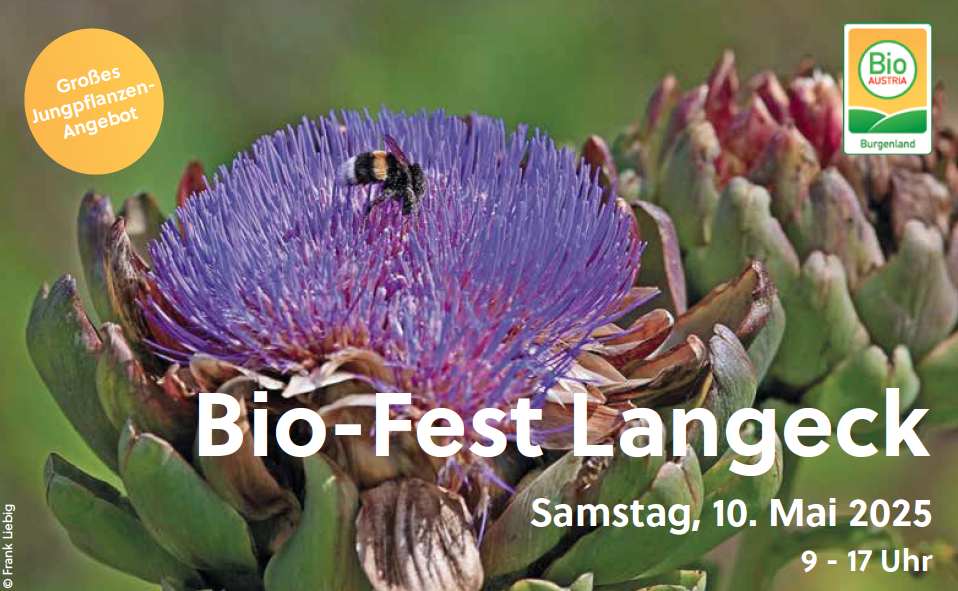 Blume mit Einladung Biofest Langeck