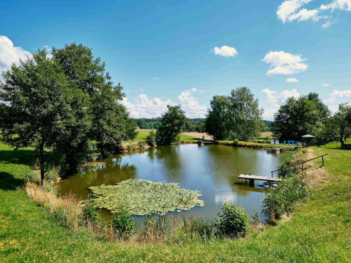 Teich am Biohof Hammerschmidt