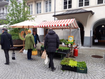 Erdreich Setzlingsmarkt