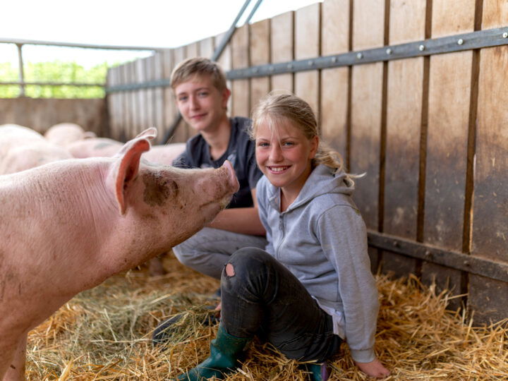 © BIO AUSTRIA Kinder mit Schweinen im Stroh