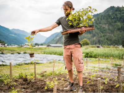 Mann mit Jungpflazen auf Feld