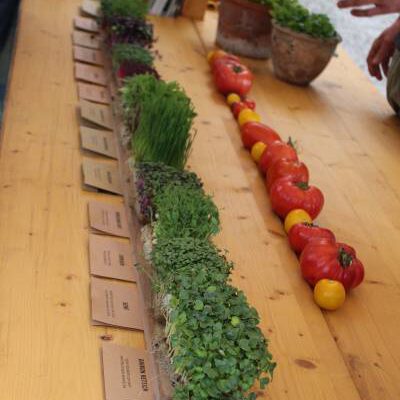 © Kasparek_Land Vorarlberg