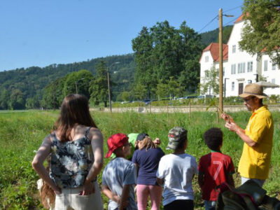 Kinder auf Feld