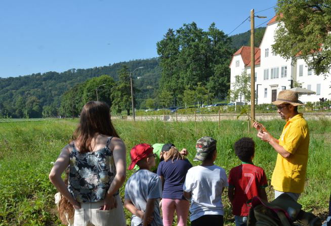 Kinder auf Feld