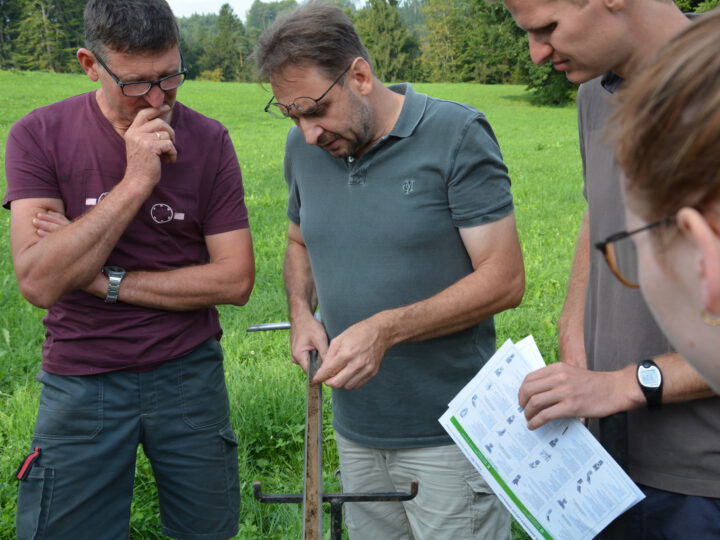 © Bio Ernte Steiermark Beratung im Grünland