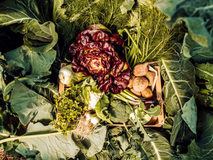 © BIO AUSTRIA / Julia Mühlberger