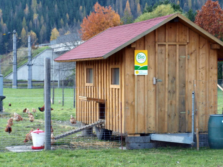 © Bio Ernte Steiermark Hühner mit Stall