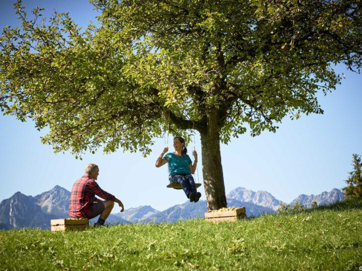Frau auf Schaukel am Baum vor Bergpanorama