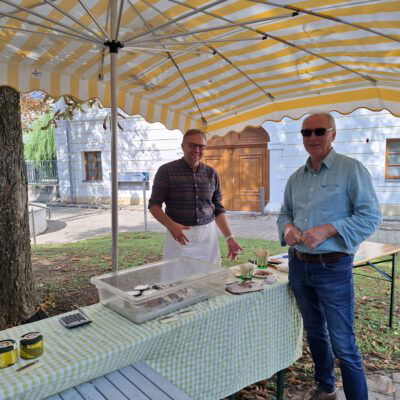 Stand am Biofest Frauenkirchen