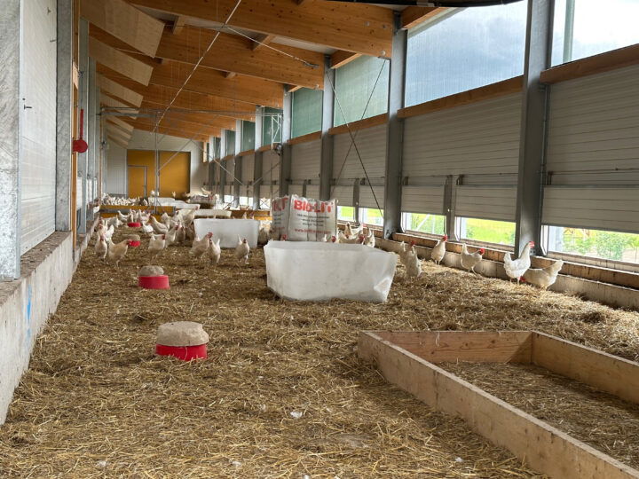 © BIO AUSTRIA Außenschauraum Geflügelbetrieb