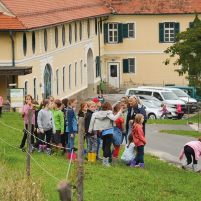 Führung beim Bio-Kartoffelfest
