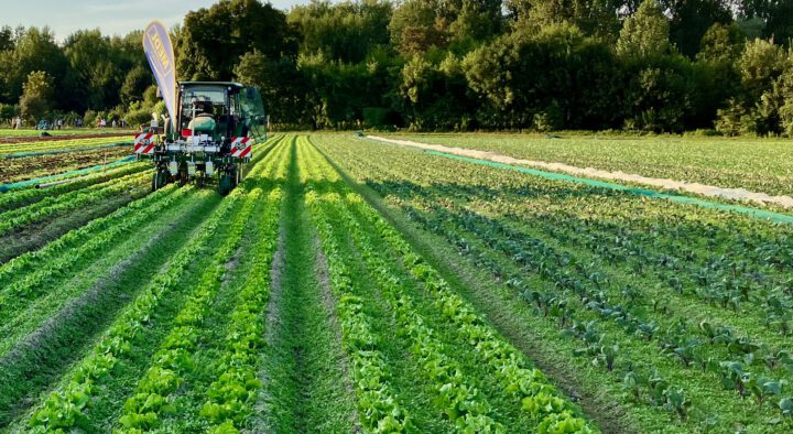 Feld mit Traktor