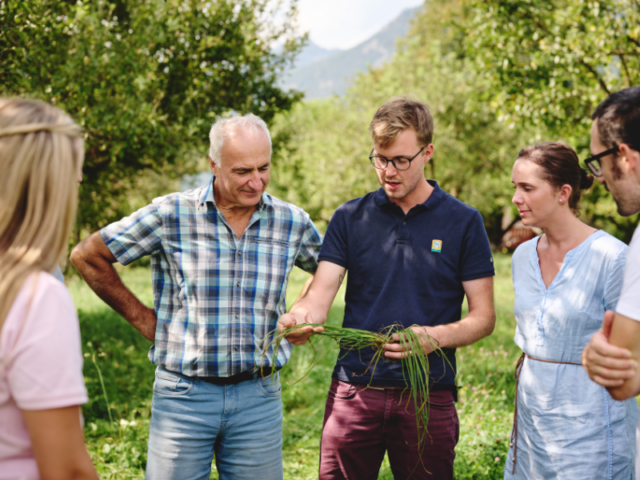 © Bio Ernte Steiermark/Königshofer Personen bei Bio-Beratung im Grünland