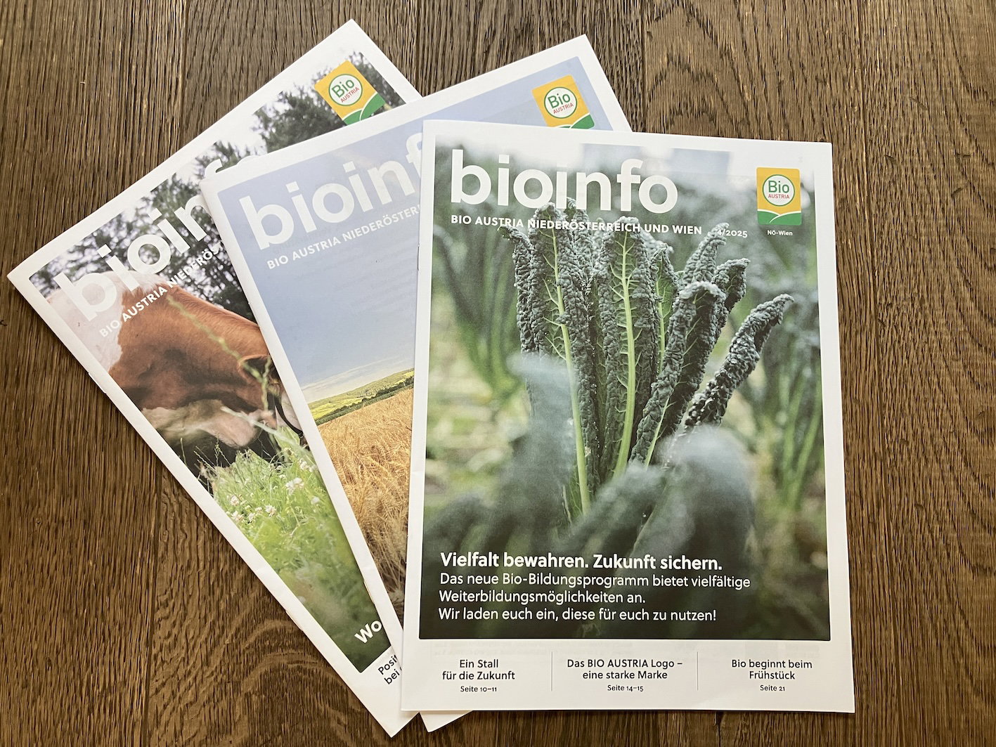 BioInfo Niederösterreich und Wien 4/2025 - BIO AUSTRIA