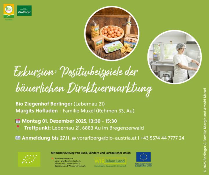 Einladungsflyer