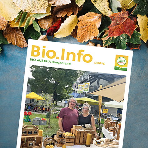 © freepik Kachel Bio.Info 5/2025