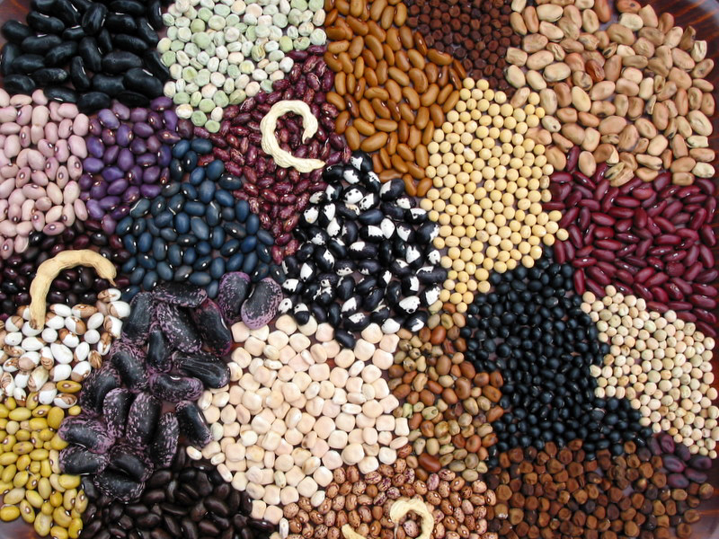 Saatgut vom Garten der Vielfalt
