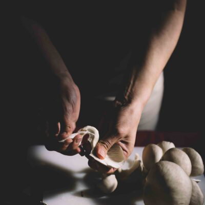 © Slowfood Österreich/Mara Hohla Bio-Pilze auf Schneidebrett