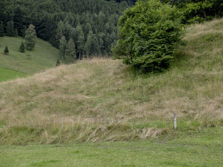 abgestufter Grünland-Bau
