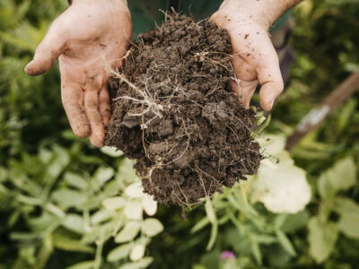 Landwirt mit Erde in den Händen