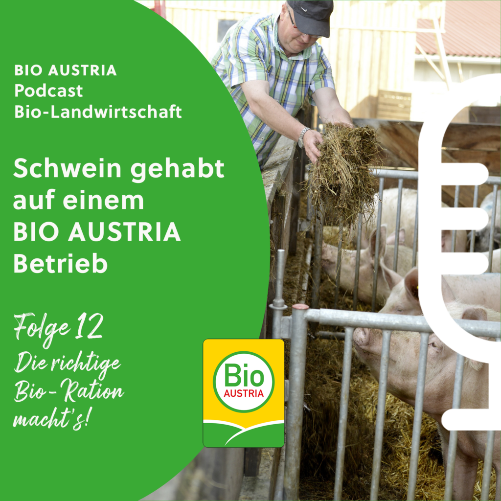Neue Podcast-Folge 