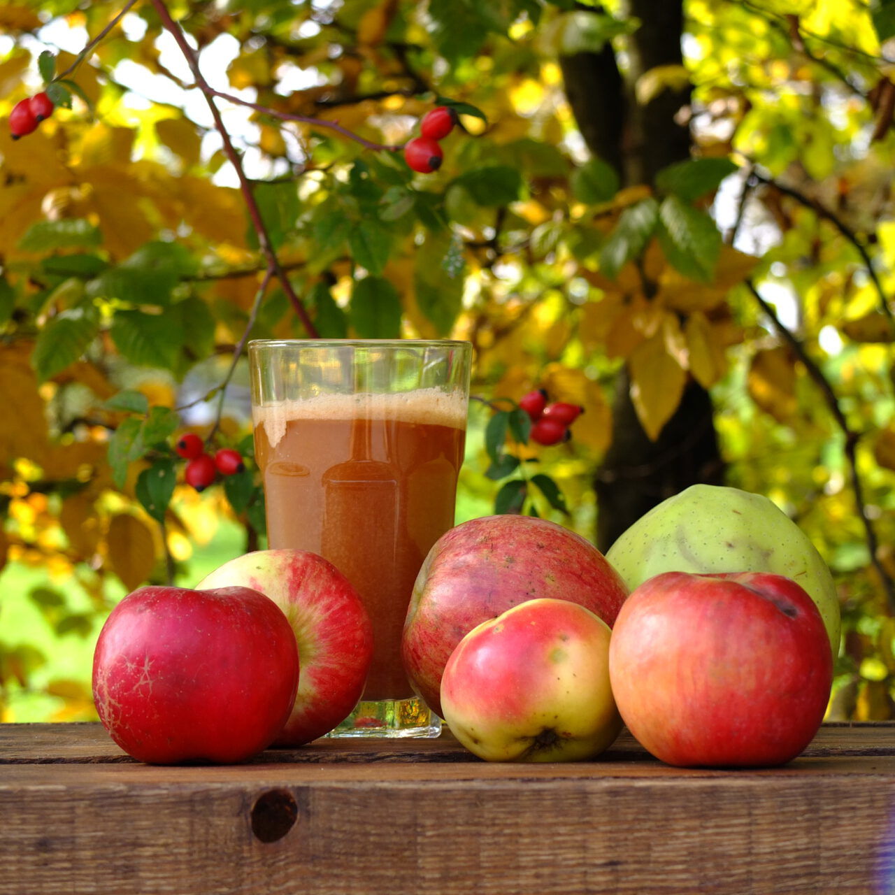 Glas Apfelsaft mit Äpfeln