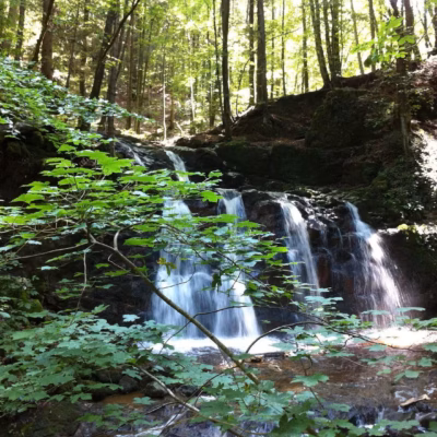 © Biohotel Schiessentobl