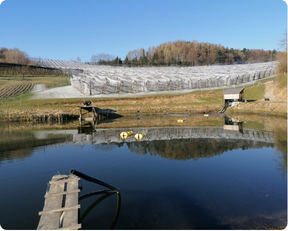 Bewässerungssee am Feld