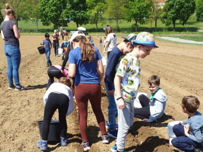 Kinder auf Kartoffelfeld