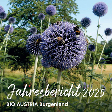 Kachel Startseite Burgenland