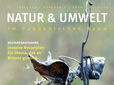 Beitragsbild NU Ausgabe 1/2026