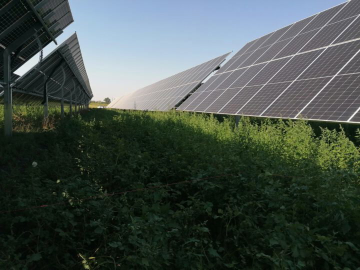 Einladung Bionet Fachtag