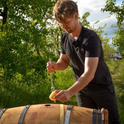 Essig im Holzfass