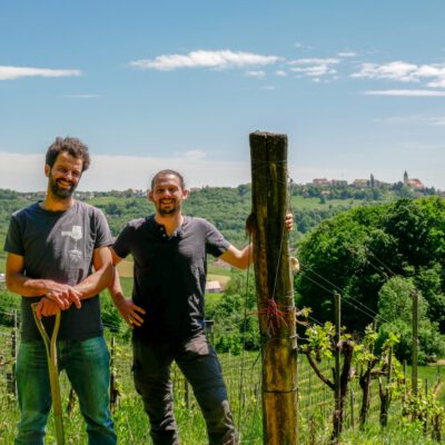 Weinbauern vor Weinreben