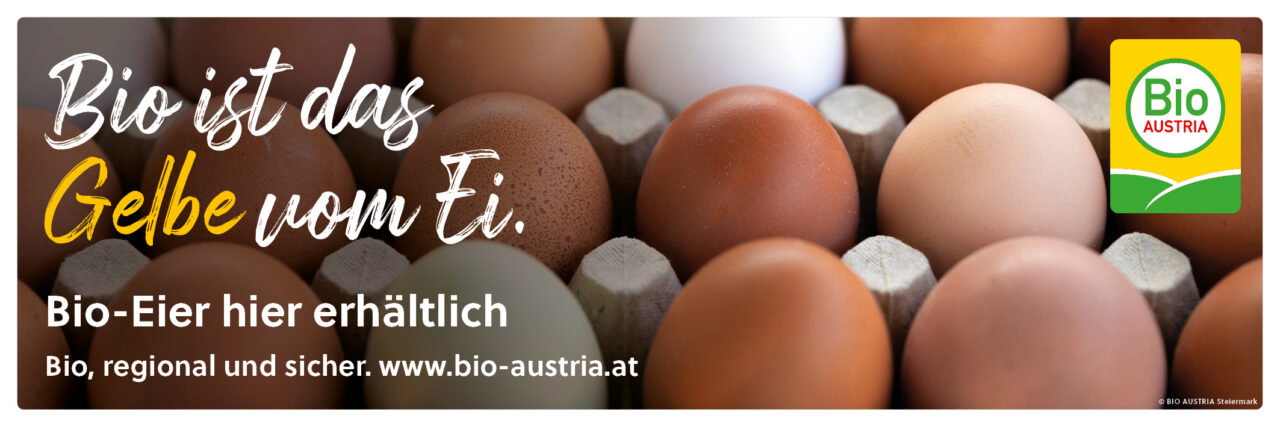Werbebanner Eier